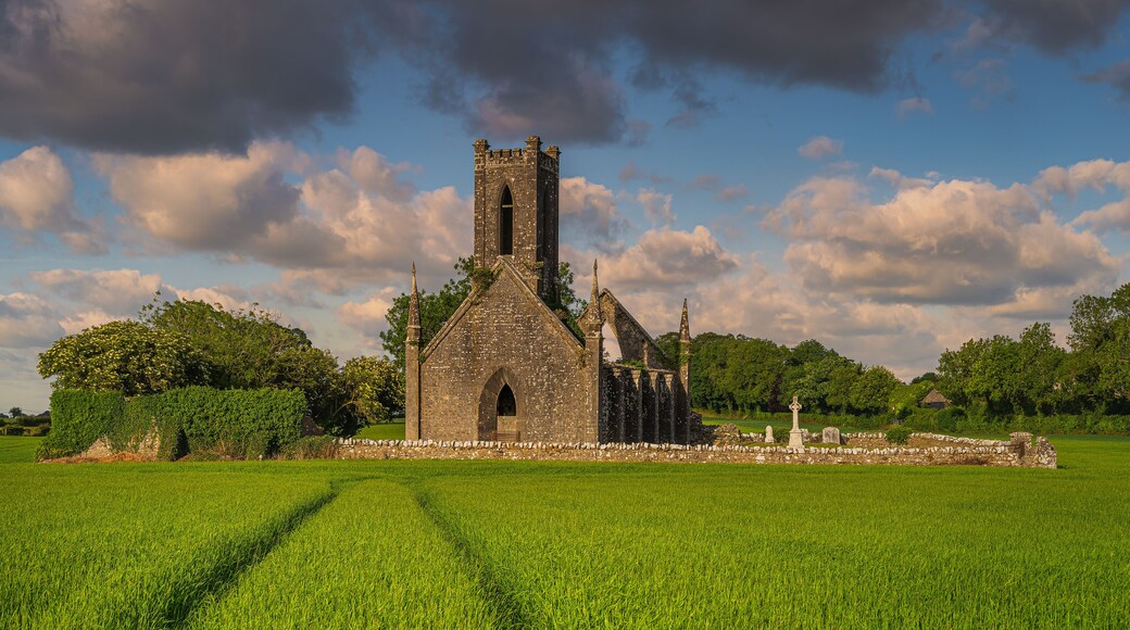 Kildare