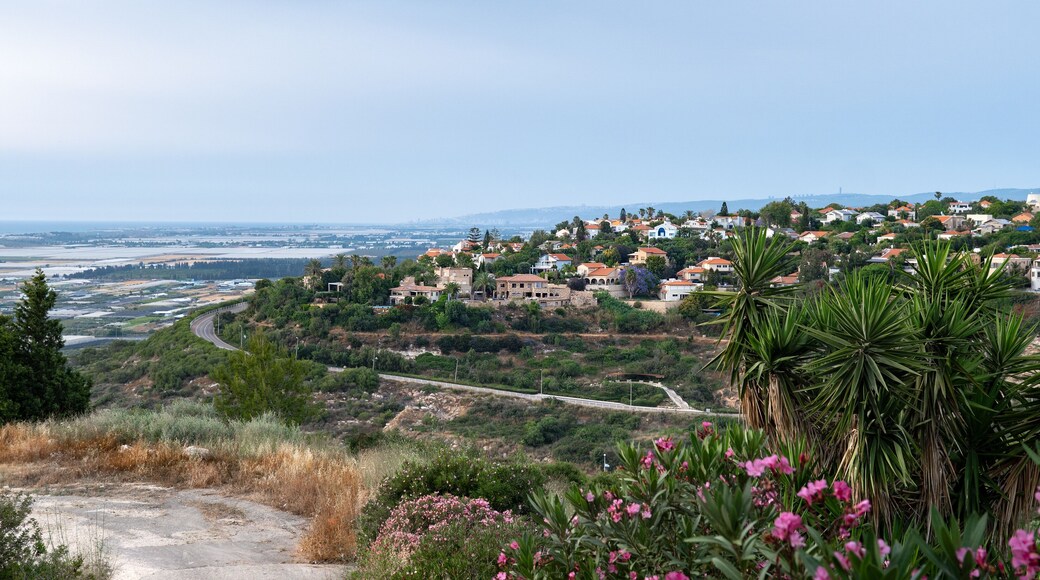 Charming coastal village with red-roof houses nestled on a hillside, overlooking farmland, the sea, and vibrant summer flora. Panoramic view. Zikhron Ya'akov, Israel.