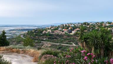 Charming coastal village with red-roof houses nestled on a hillside, overlooking farmland, the sea, and vibrant summer flora. Panoramic view. Zikhron Ya'akov, Israel.