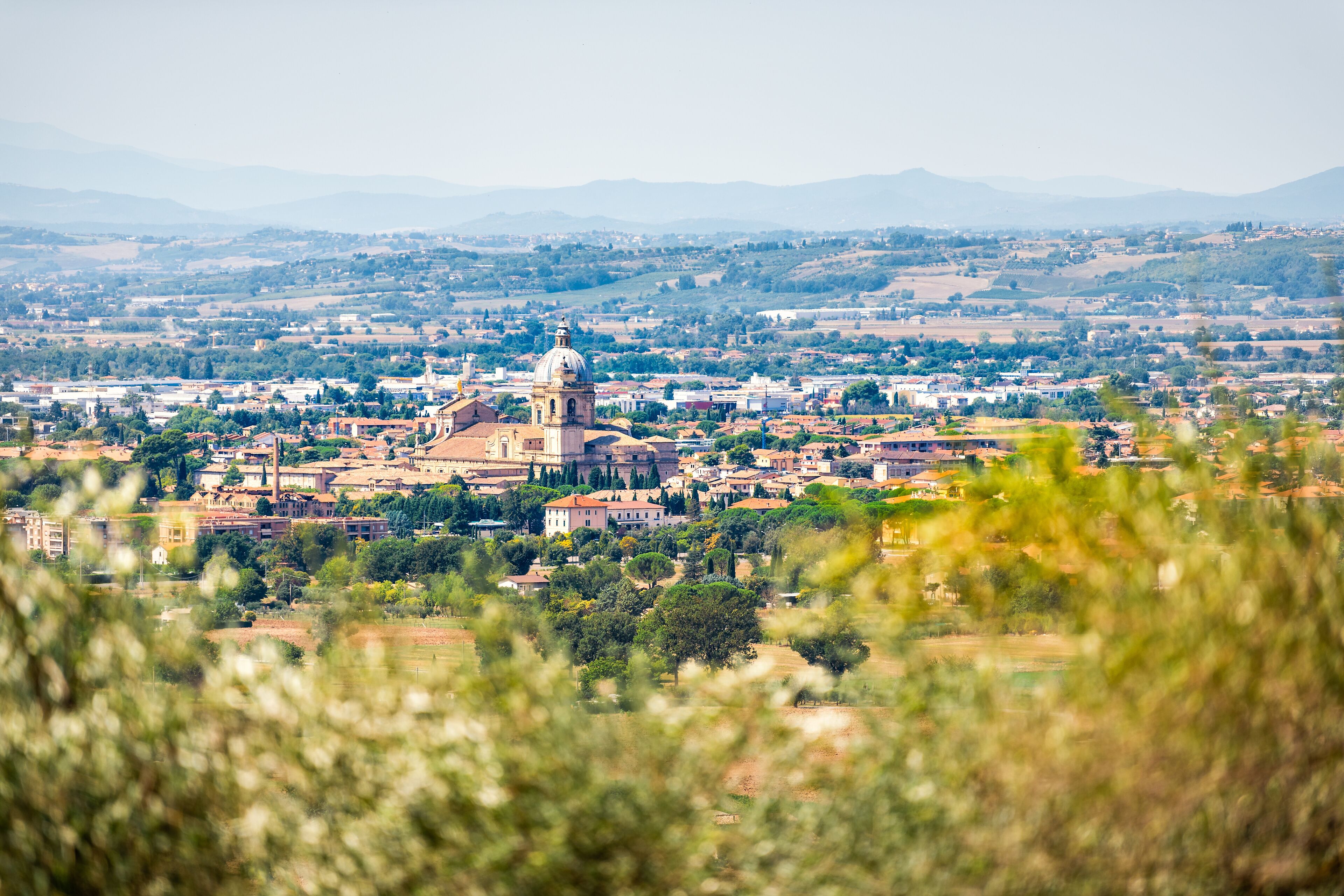 A cityscape with a prominent church with a dome, surrounded by residential buildings and greenery.
