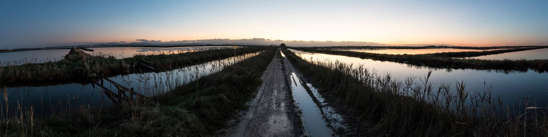 A dirt road leading through a marshy landscape with water on either side.