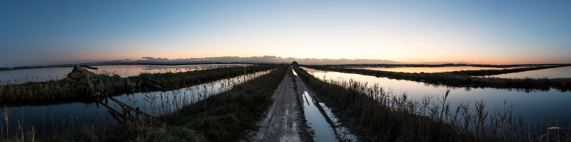 A dirt road leading through a marshy landscape with water on either side.
