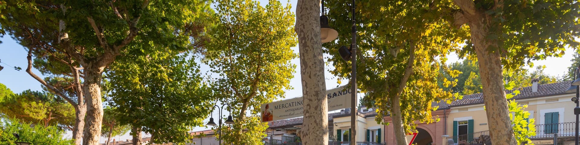 Cervia which includes wildflowers and a park