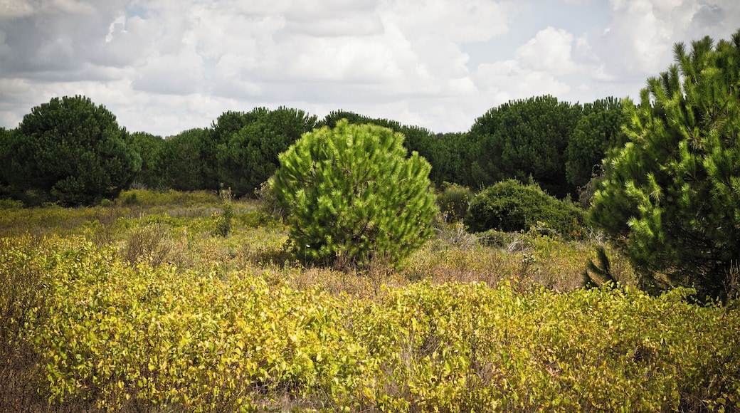 The authorisation for taking photos of this object was provided by the World Wide Fund for Nature Italy.