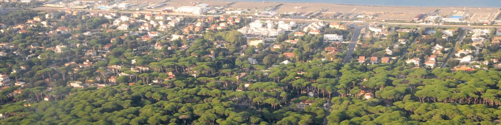 Aerial view of Viale della Pineta di Fregene. The Tyrrhenian Sea with the beaches is seen in the background.