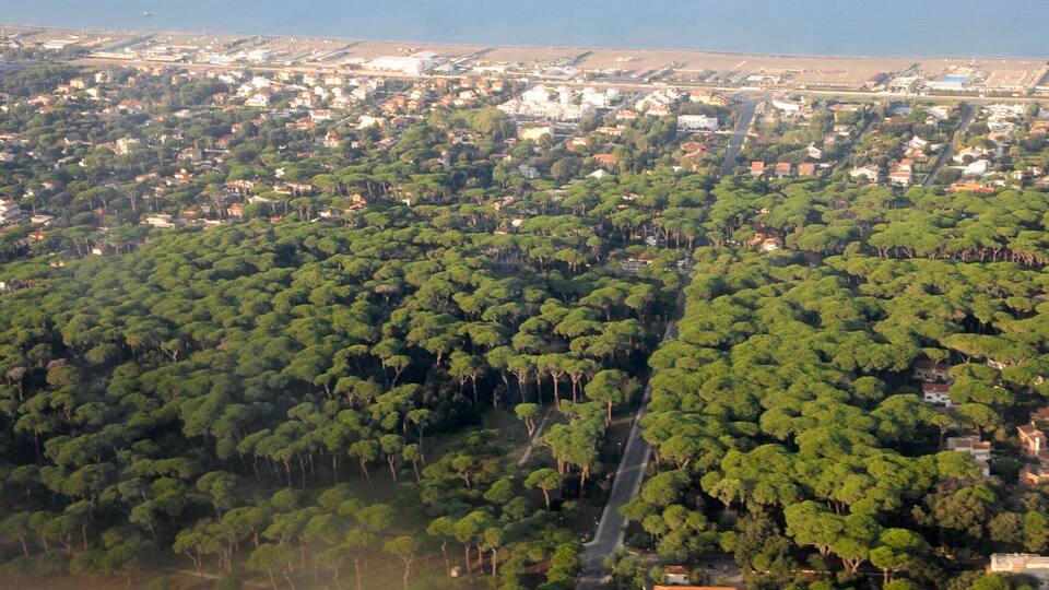 Aerial view of Viale della Pineta di Fregene. The Tyrrhenian Sea with the beaches is seen in the background.