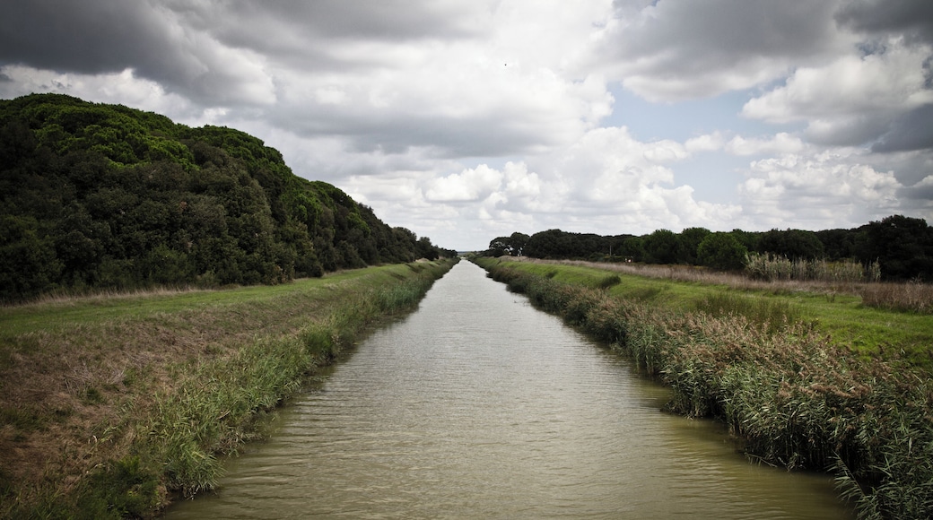 The authorisation for taking photos of this object was provided by the World Wide Fund for Nature Italy.