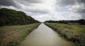 The authorisation for taking photos of this object was provided by the World Wide Fund for Nature Italy.