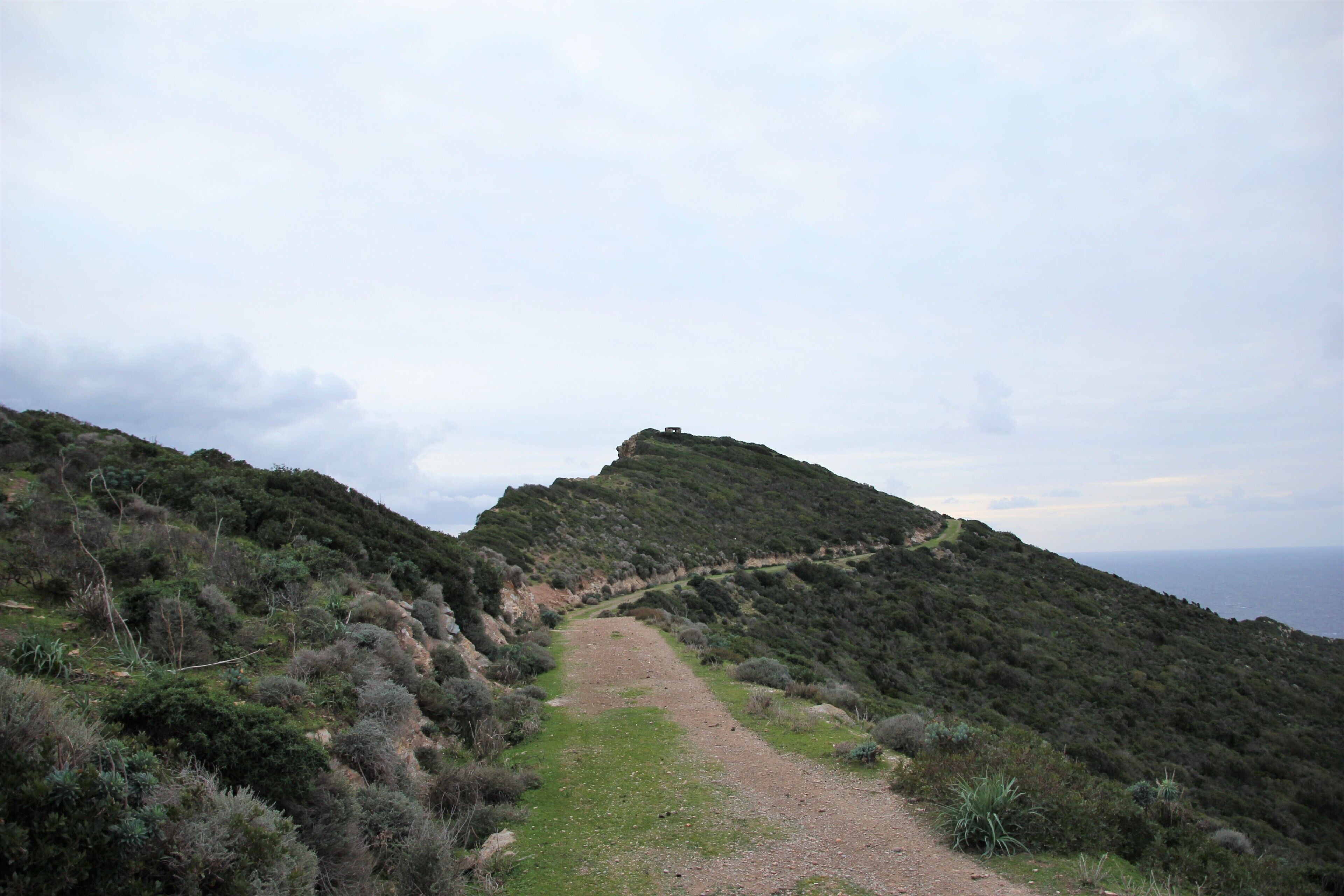 Sassari-Alghero - Mare di Fuori