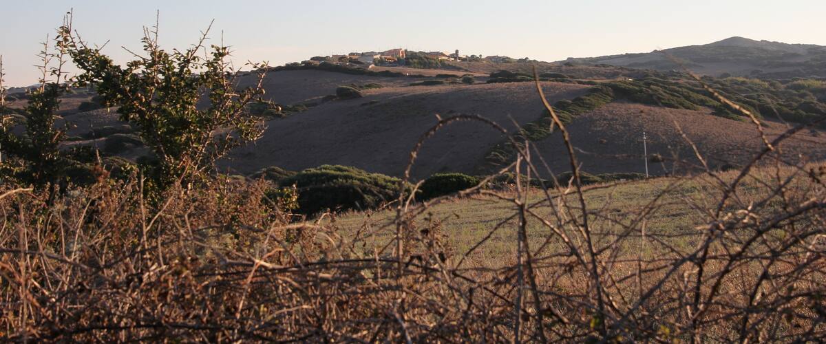 Rolling hills, a distant building, and sparse vegetation.