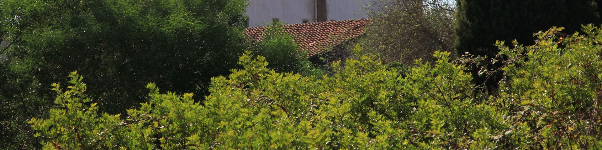 Sassari - Campanedda - Chiesa di Santa Maria