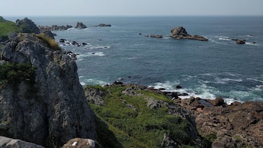 Check out the trails and the views. There are also rock beaches in the area.