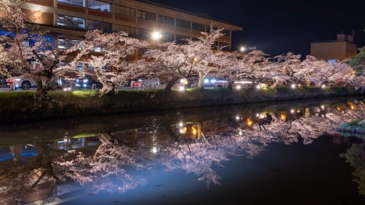 ฮะชิโนะเฮะ