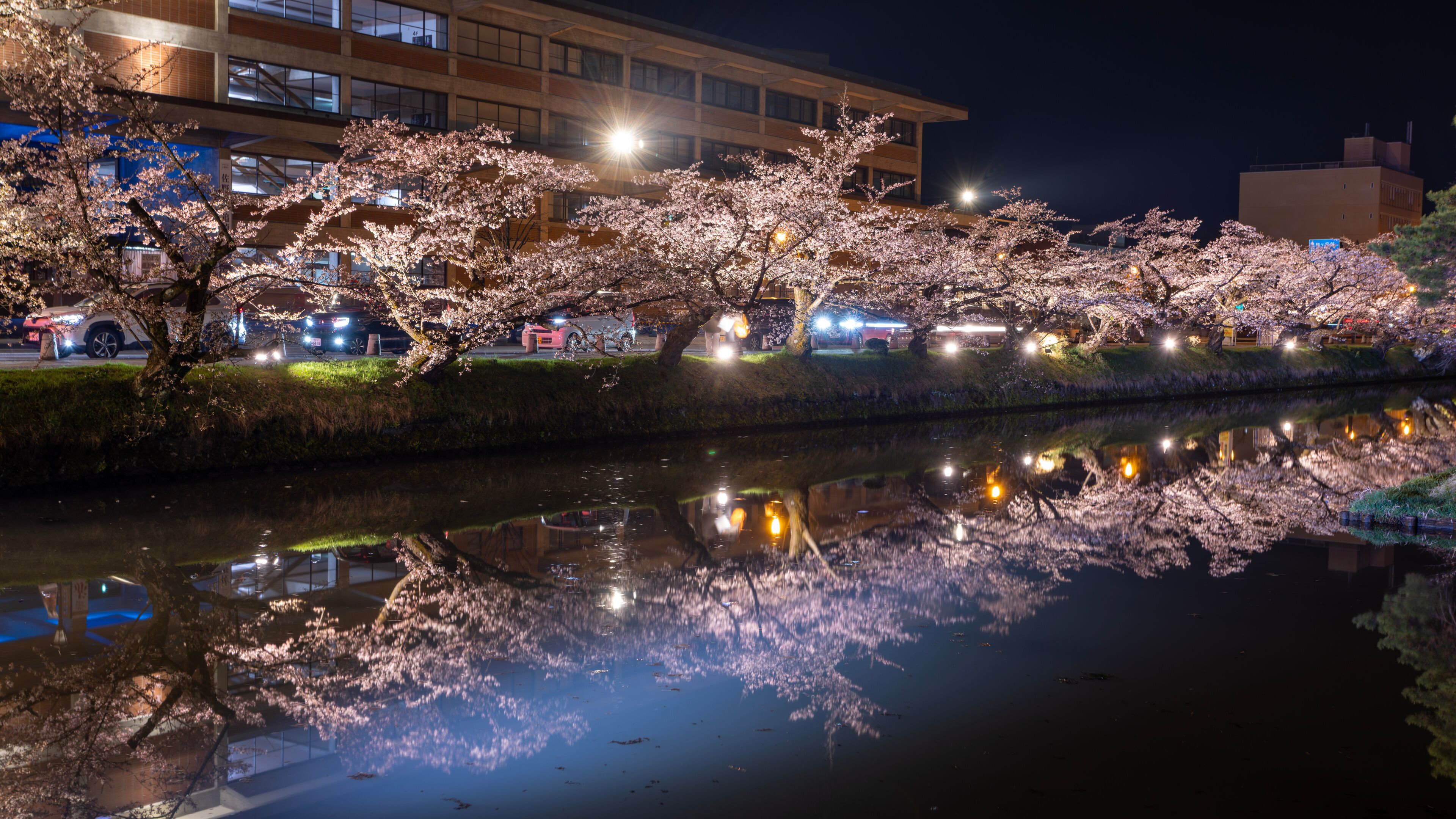 A night scene with cherry blossoms reflecting on a river, illuminated buildings in the background.