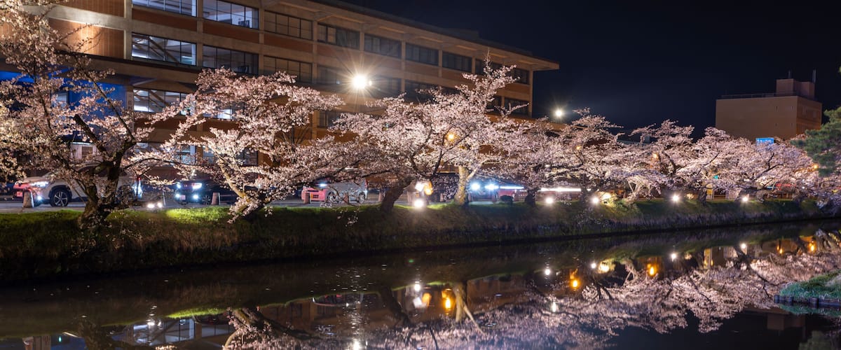 A night scene with cherry blossoms reflecting on a river, illuminated buildings in the background.