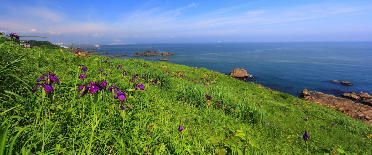 鮫角岬