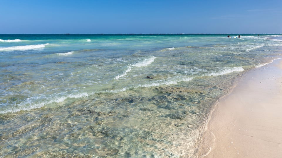 A beach with clear shallow waters and a sandy shore.