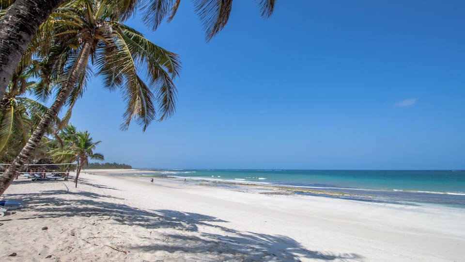 A beach with white sand, palm trees, and a clear blue sky.