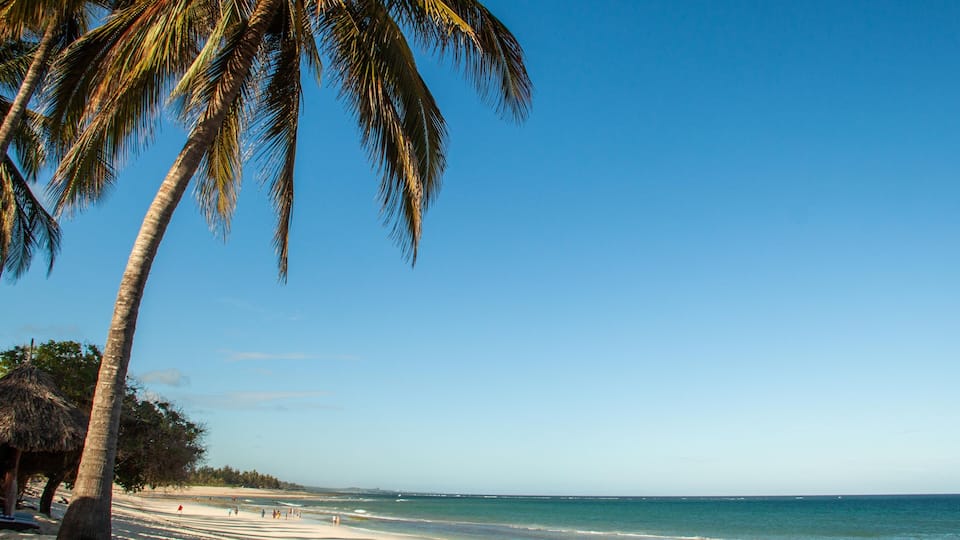 A beach with palm trees, clear blue sky, and calm sea.