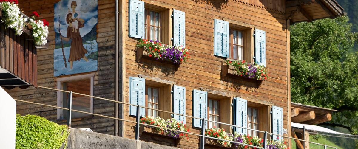 Triesenberg featuring a house, flowers and art