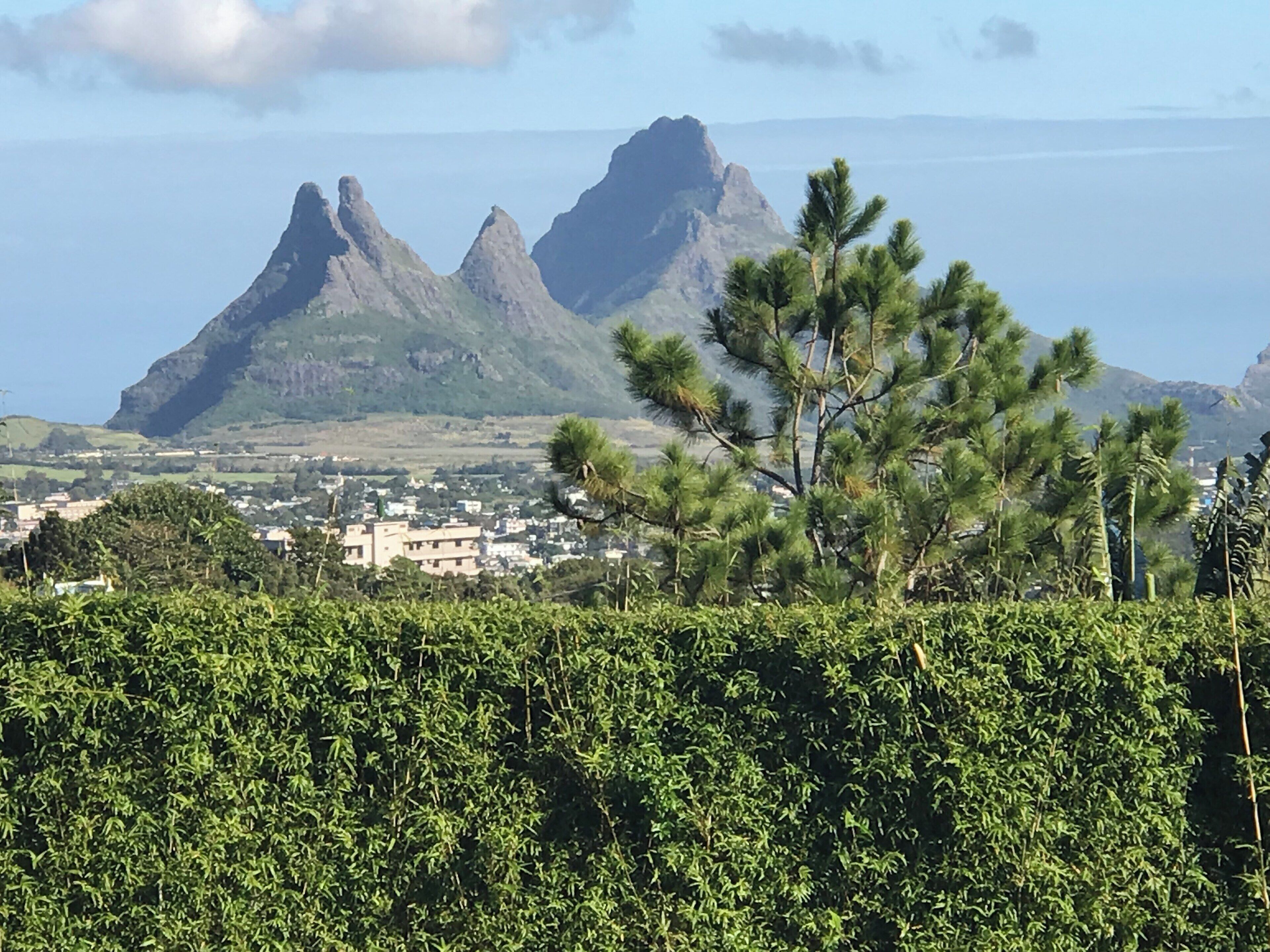 A coastal landscape with a town, mountains, and a foreground of dense green foliage.