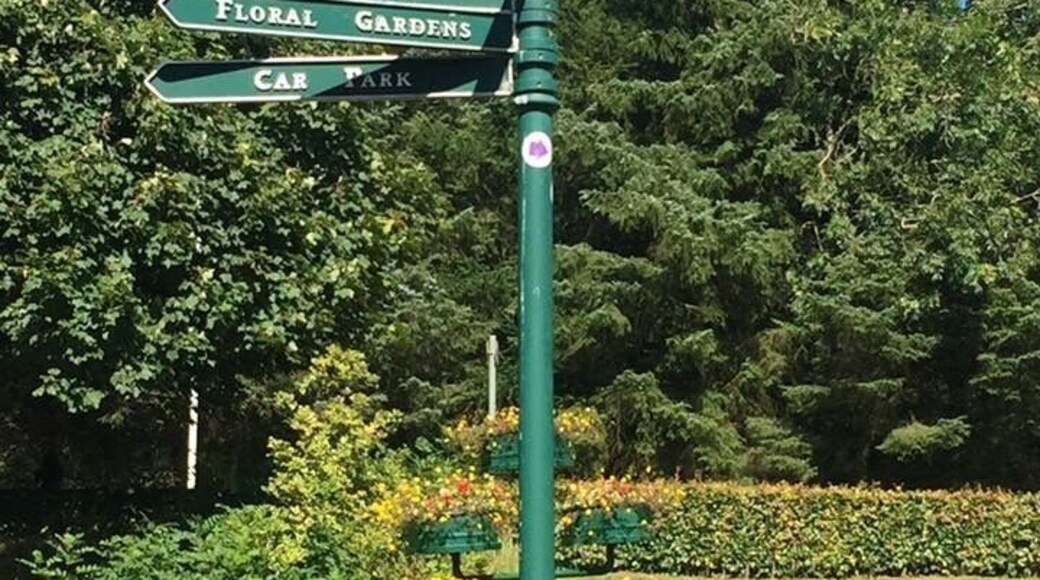 Riverside Park, Glenrothes, Fife, Scotland 🏴 or simply known as the Town Park to locals!