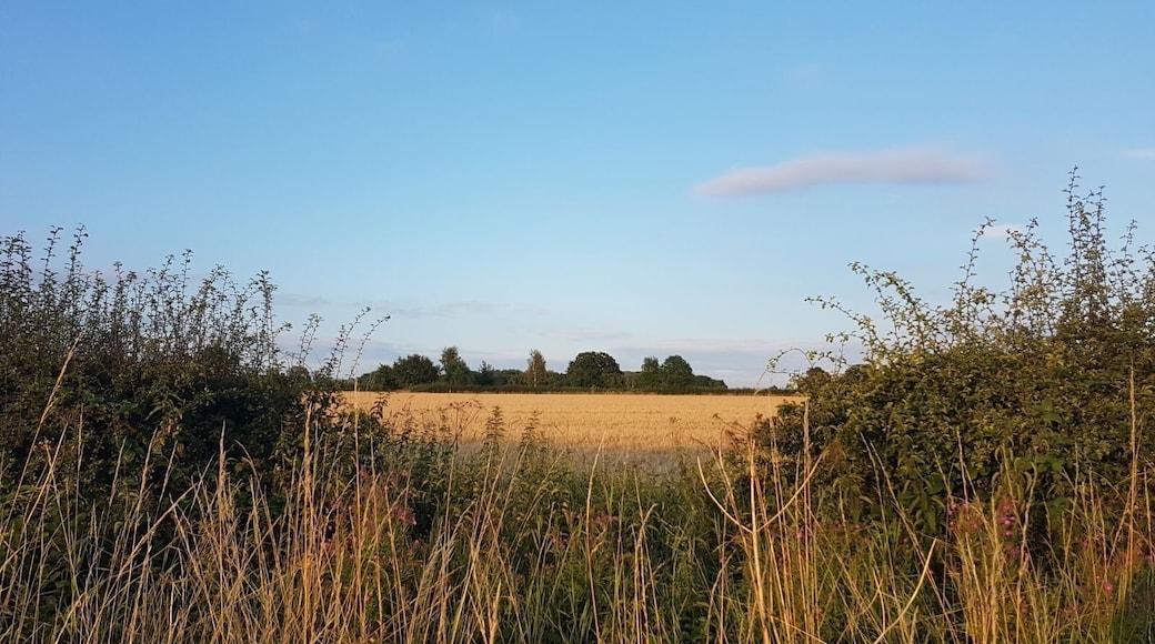 Our 'secret' field in Market Bosworth, Leicestershire.