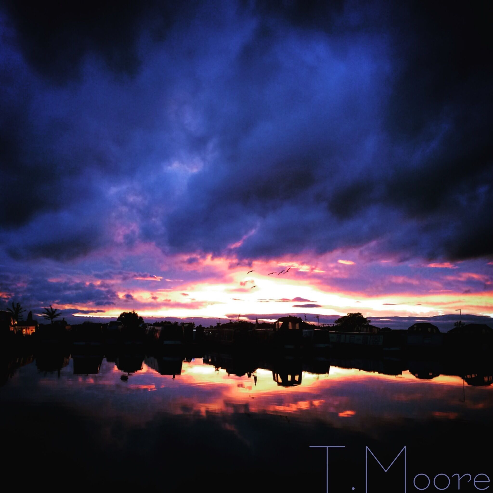 Bosworth marina sunsets