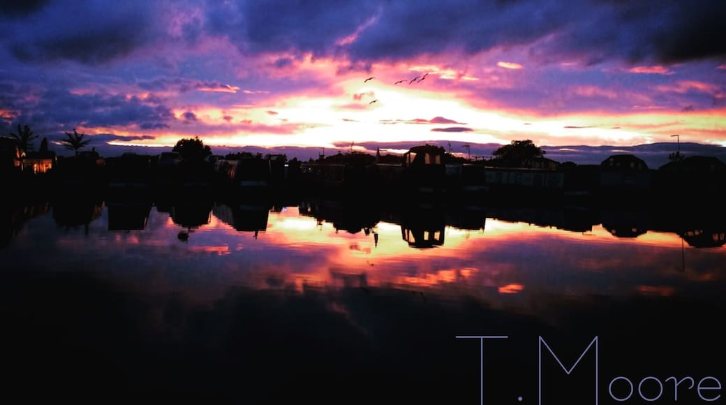 Bosworth marina sunsets