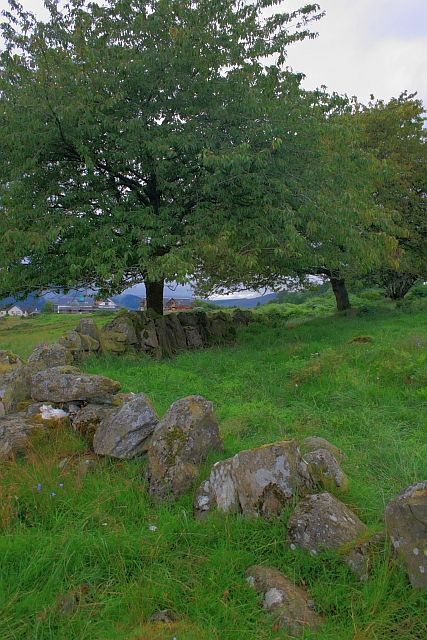 Orthostats and Two Cherry Trees, Tullicro