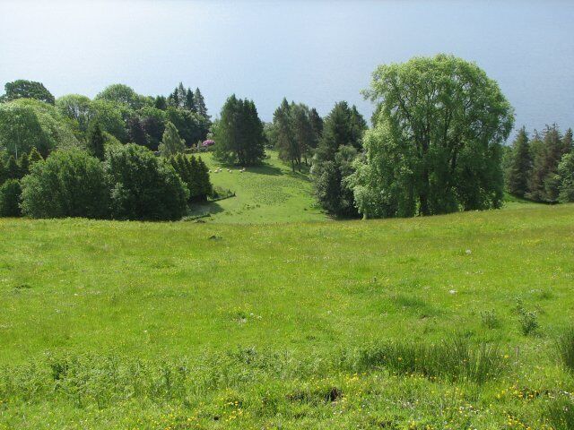 Fields at Fearnan. Looking down from the track beyond Boreland Farm over fields to the loch shore just west of Fearnan.