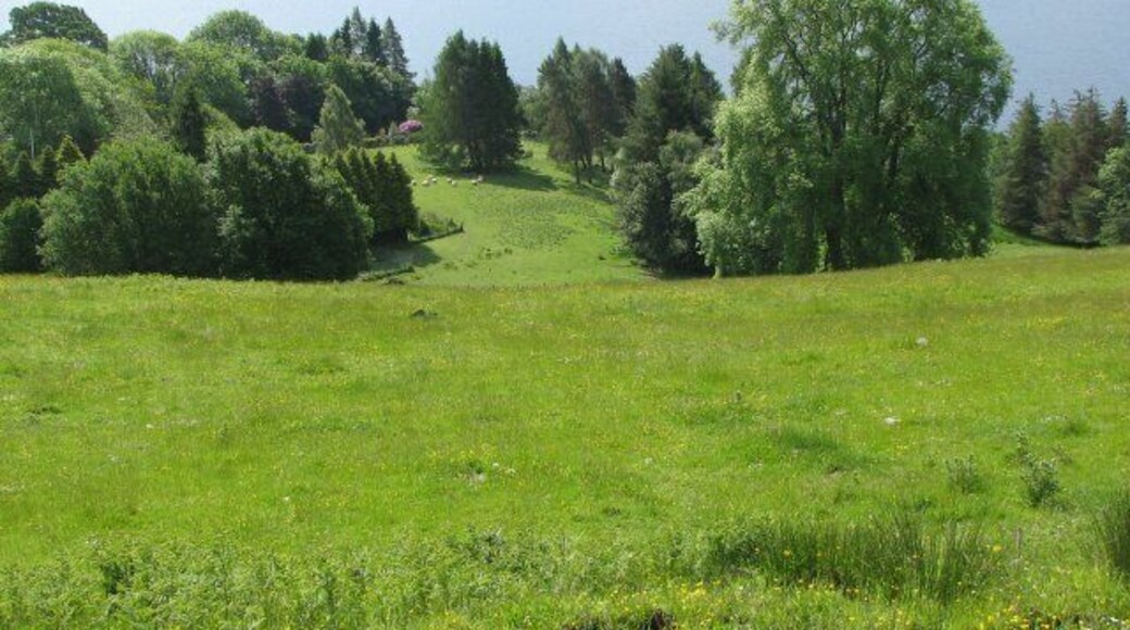 Fields at Fearnan. Looking down from the track beyond Boreland Farm over fields to the loch shore just west of Fearnan.