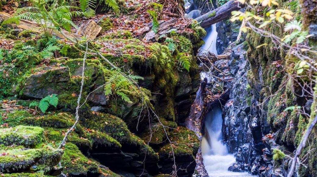 The birks of aberfeldy has a huge amount if waterfalls, some large and some small, thus little gem is almost out of sight