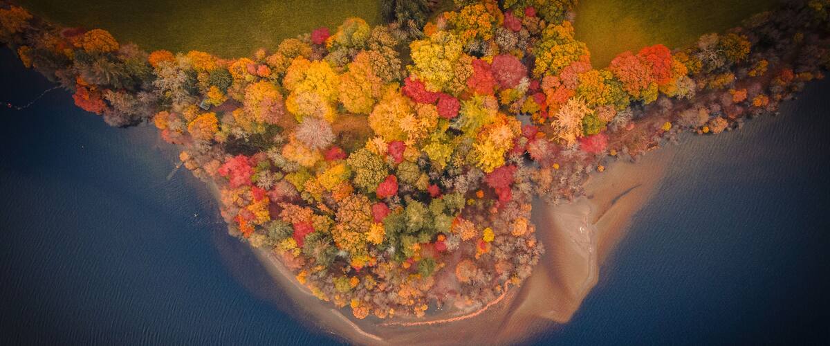 An aerial view of a coastal area with a dense forest and a sandy beach.