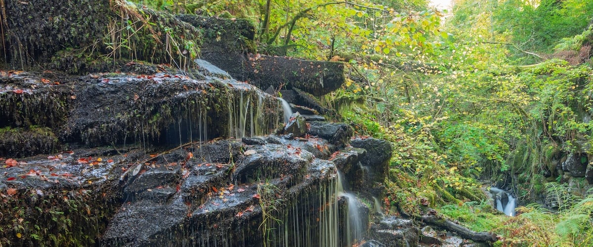 One if the many cascades to be found on this delightful walk