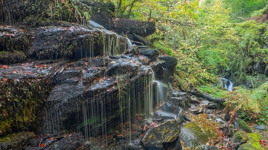 One if the many cascades to be found on this delightful walk