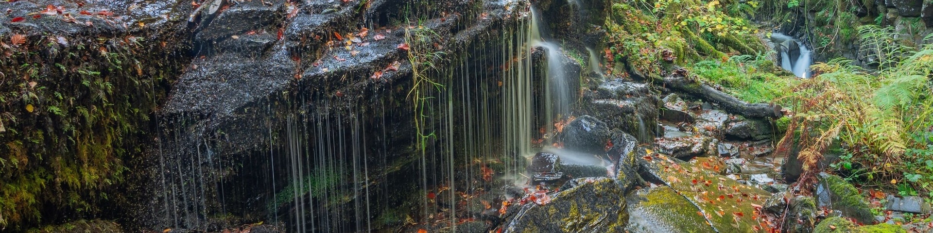 One if the many cascades to be found on this delightful walk