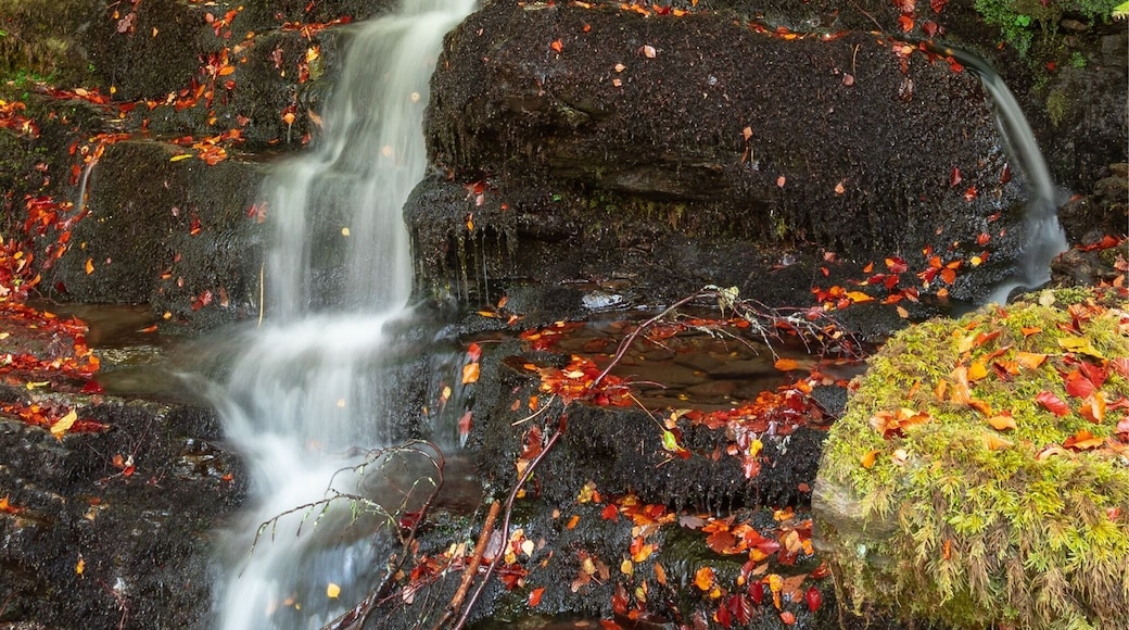 Wonderful autumn colours in Perthshire