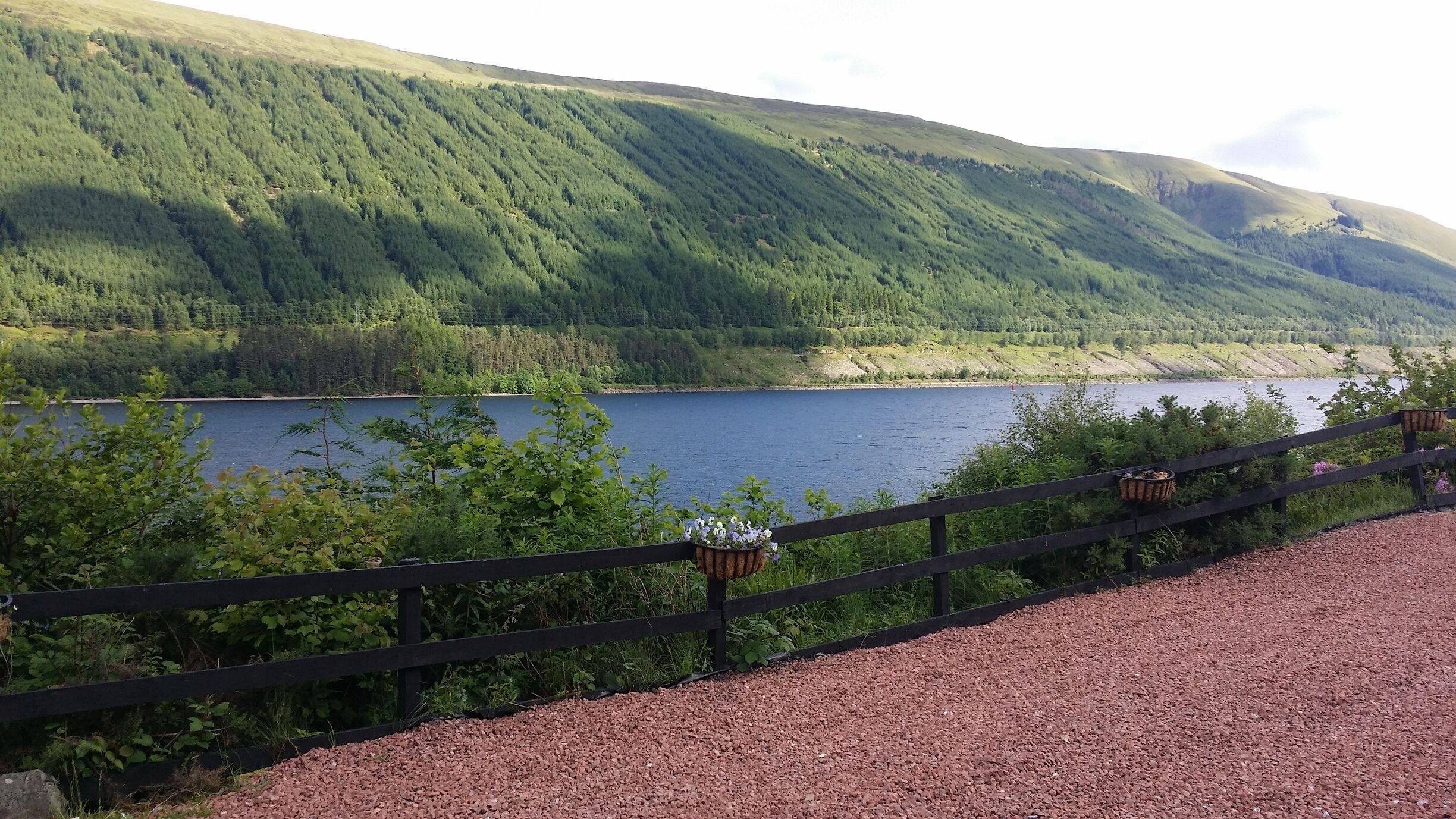 Scotland, our lodge on the Loch side. Stunning views and wildlife 