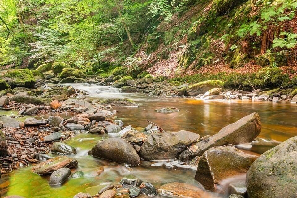 The sun came out at just the right time, gave a nice glow to the water 