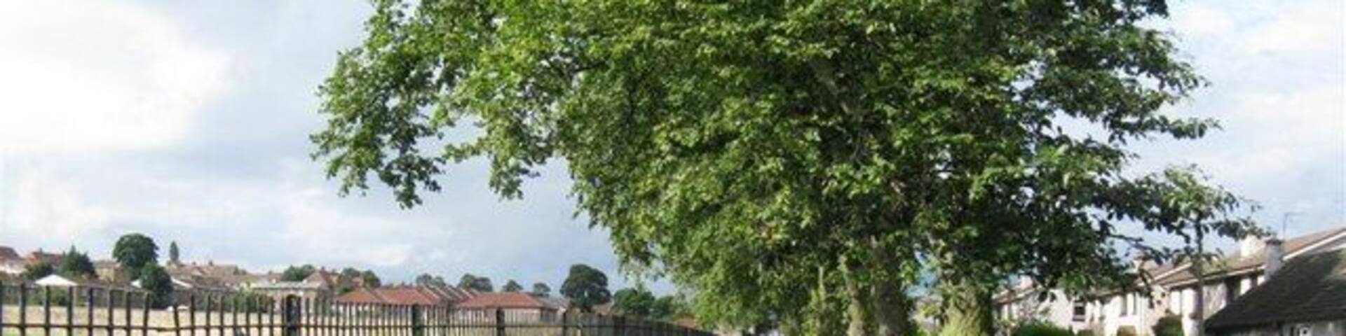 Ferniehill Drive Sports field, footpath and access road.