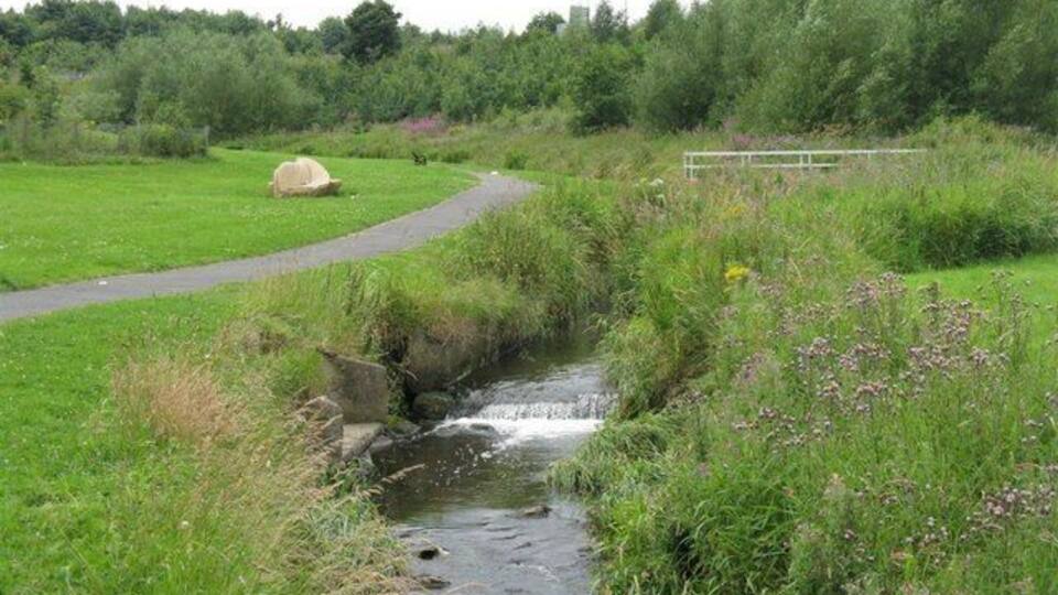 Ein kleiner Bach fließt durch eine Wiese, parallel verläuft ein befestigter Weg.