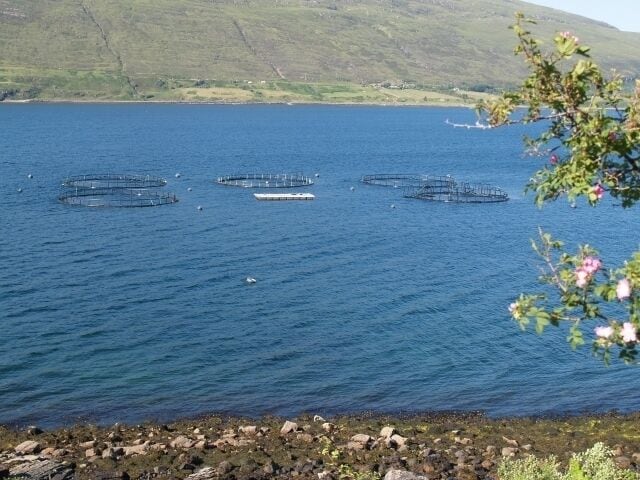 Fish farm, Little Loch Broom. Looking across to Badrallach on the other side of the Loch.