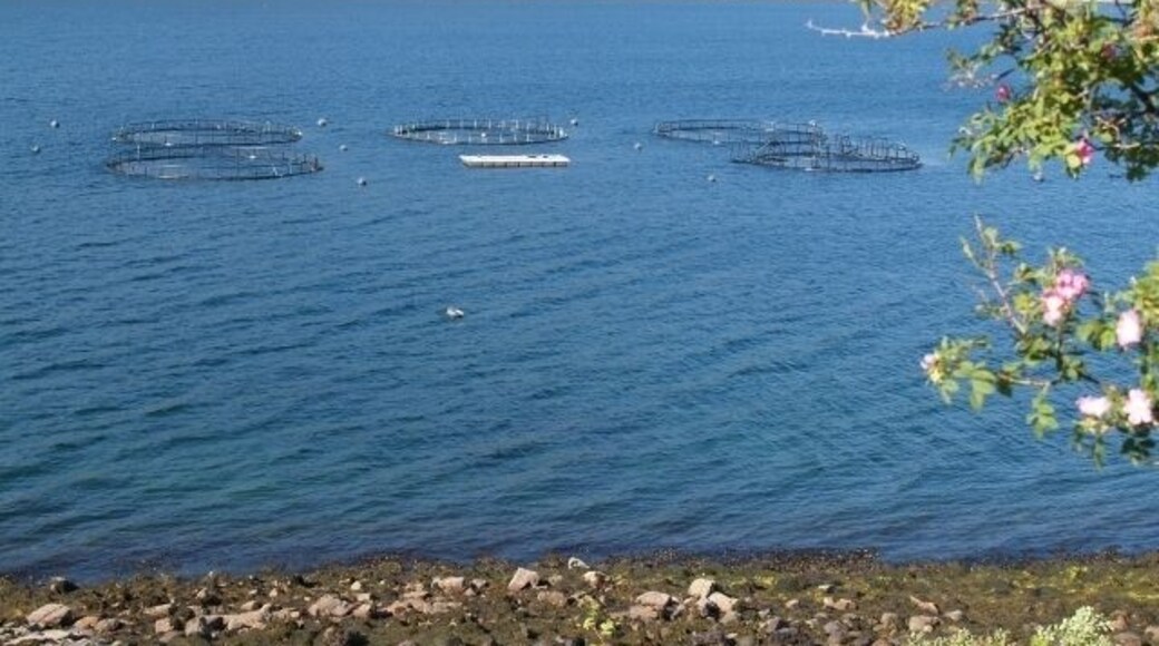 Fish farm, Little Loch Broom. Looking across to Badrallach on the other side of the Loch.