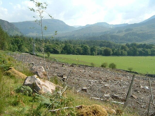 Contrasting land use Clear felled plantation, fields and woodland above the Dundonnell River, with a mobile phone mast for good measure.