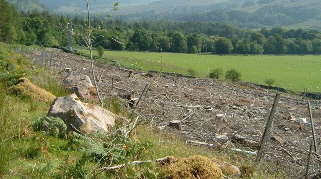 Contrasting land use Clear felled plantation, fields and woodland above the Dundonnell River, with a mobile phone mast for good measure.