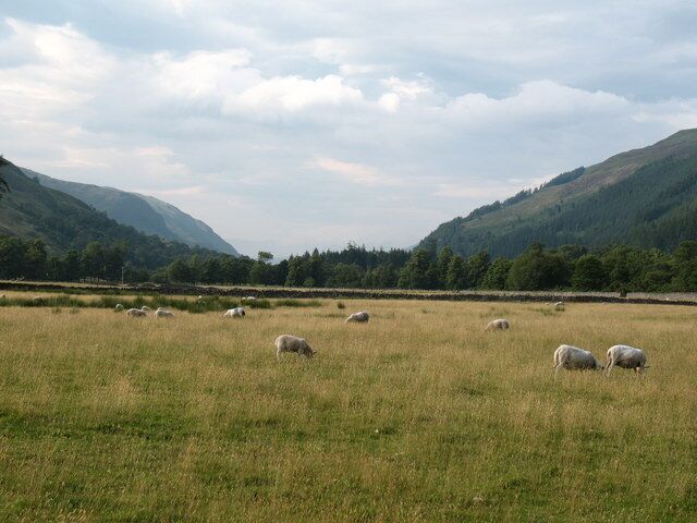 Pastures in Strath More Some good quality pastureland in Strath More, which is watered by the River Broom. The pastoral scene here is in sharp contrast to the bare moorland either side of the A835 only a few miles to the south.