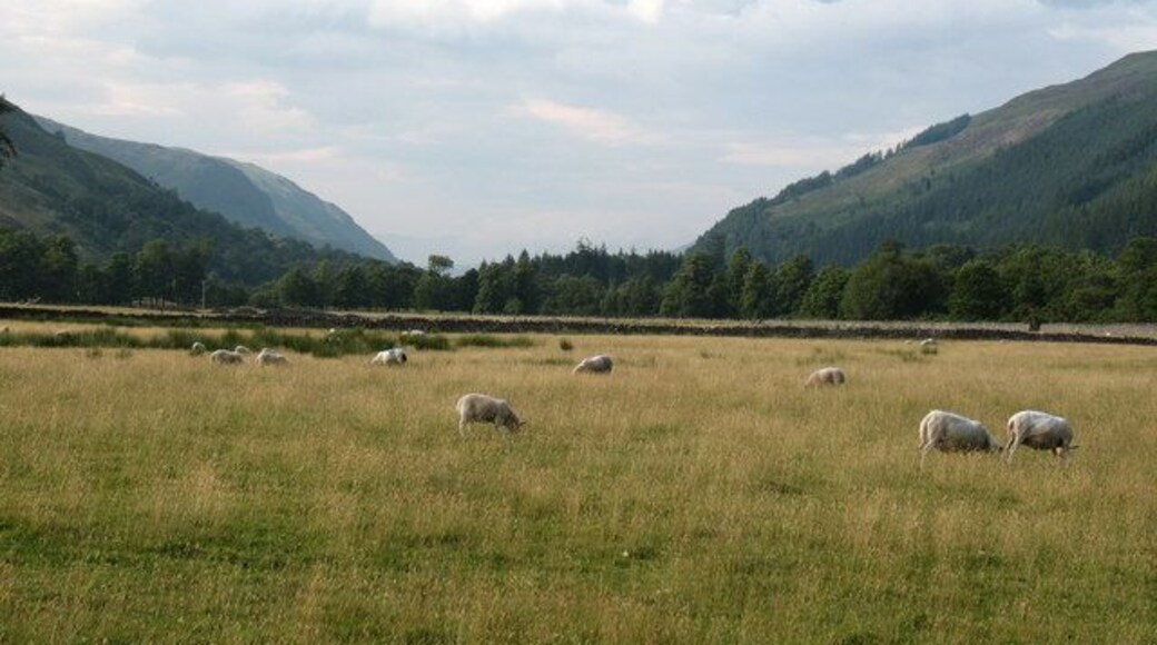 Pastures in Strath More Some good quality pastureland in Strath More, which is watered by the River Broom. The pastoral scene here is in sharp contrast to the bare moorland either side of the A835 only a few miles to the south.
