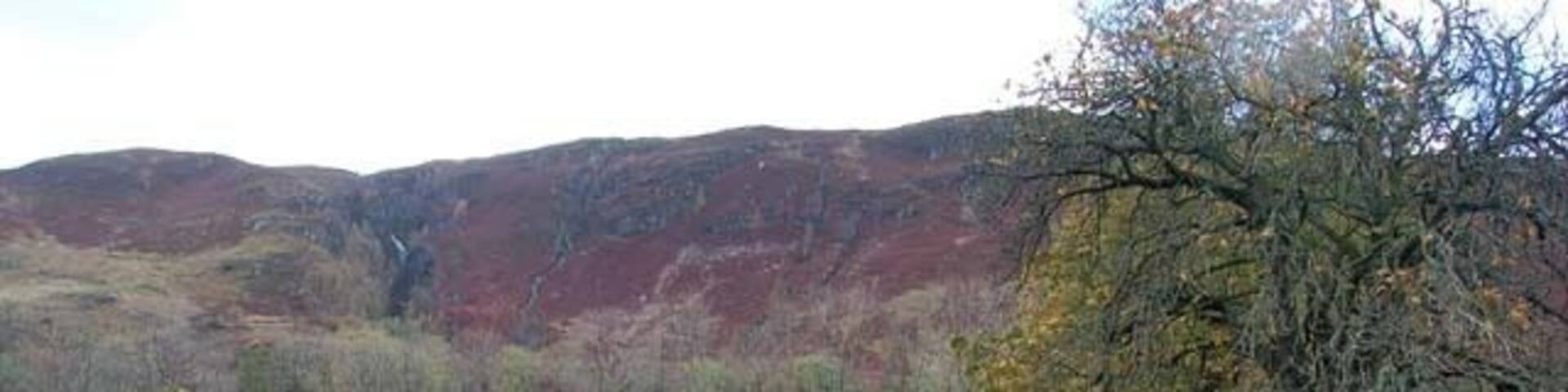 Sheep grazing in Strath More