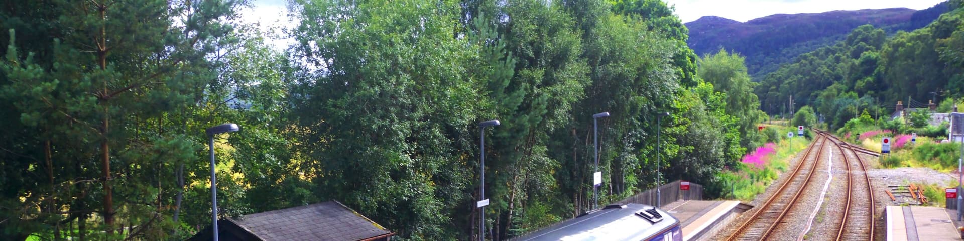 A train on tracks surrounded by lush greenery and hills.